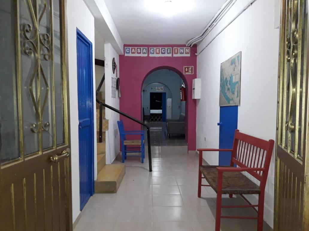 Hotel Casa Ceci Inn Сан-Хосе-дель-Кабо Екстер'єр фото